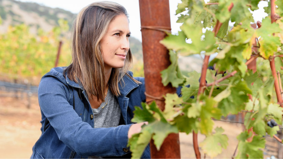 A person in a blue jacket inspects grapevines in a vineyard. Background shows hazy hills and a bright, calm atmosphere.