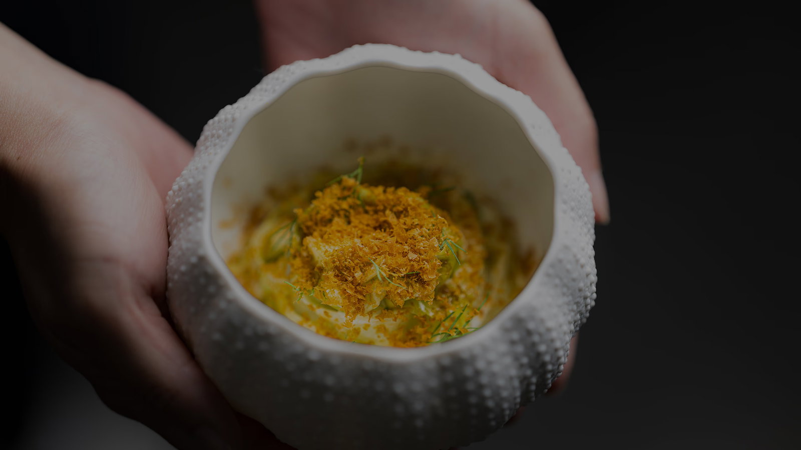 Hands holding a textured white bowl with a dish topped with herbs and spices. Dark background enhances the focus on the food.