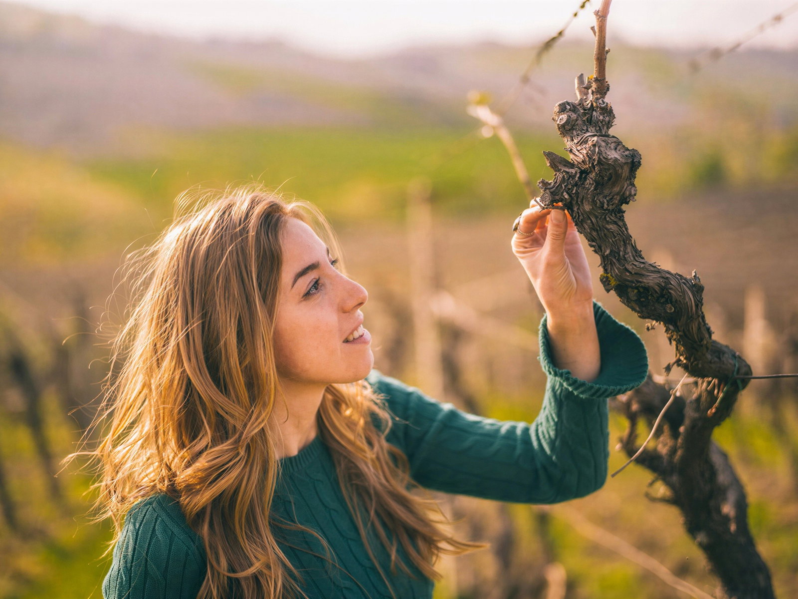Chiara Pepe in a green sweater examines a grapevine in a sunny vineyard. Her expression is thoughtful, with a blurred green field in the background.