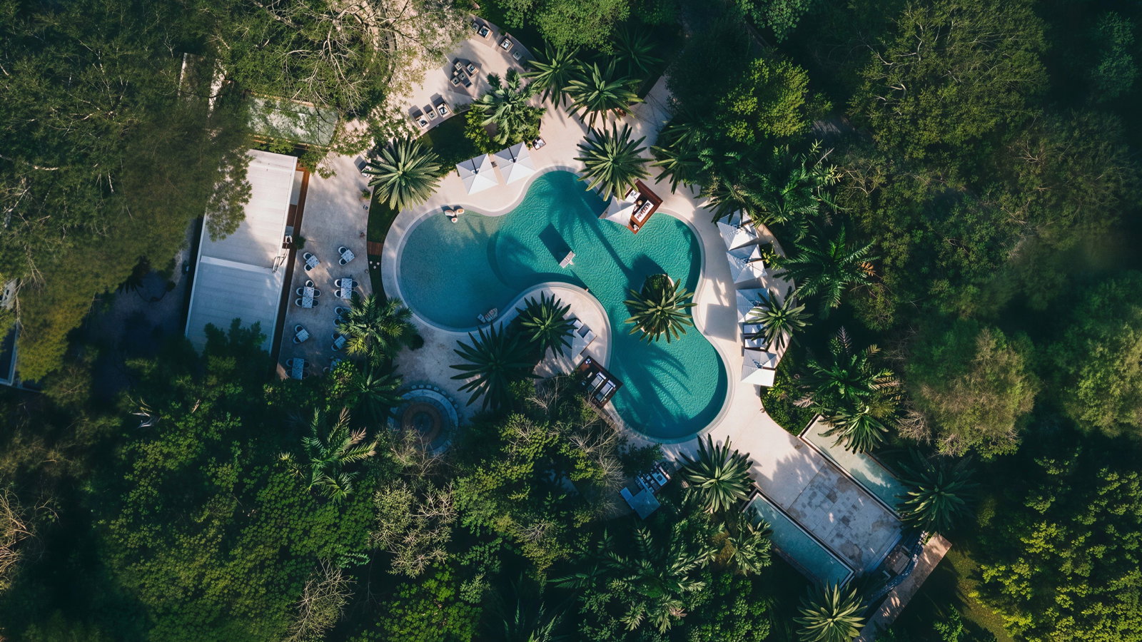 Aerial view of a curvy swimming pool surrounded by lush green trees and palm trees, with lounge chairs and umbrellas on the pool deck.