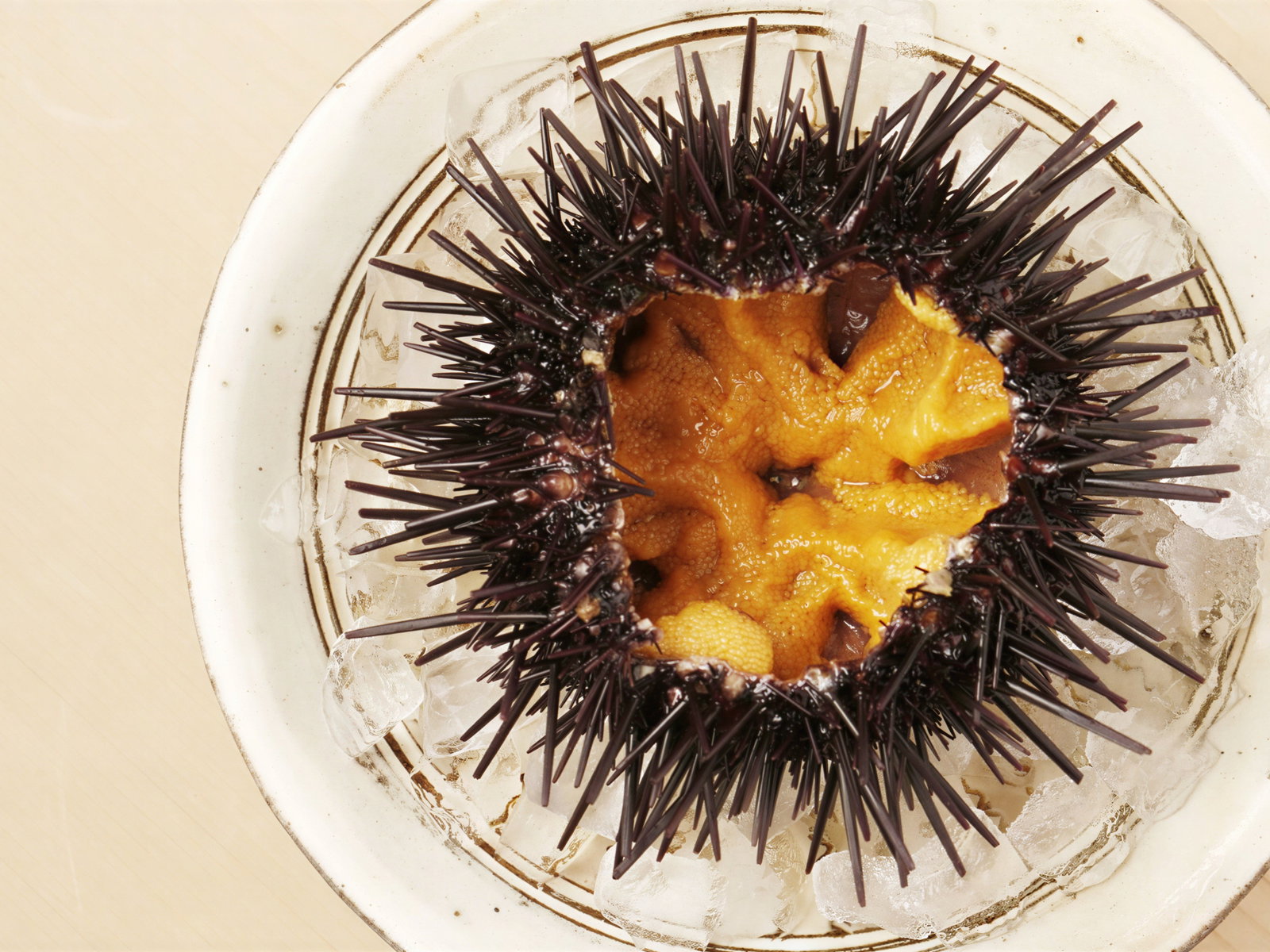 Sea urchin with dark spines and orange interior on ice in a white dish, top view. The setting is light and minimal.