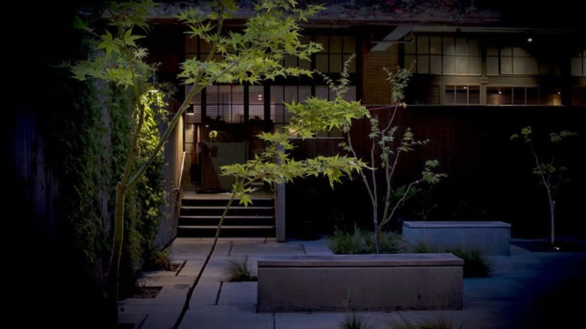 Lit courtyard at night with young trees and shrubs. Illuminated steps lead to a modern glass entrance. The atmosphere is calm and serene.