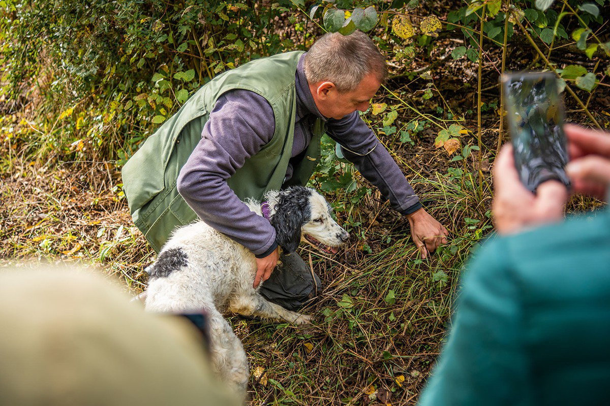 Truffle hunter and Guide Massimo Cucchiara and his dog looking for truffles