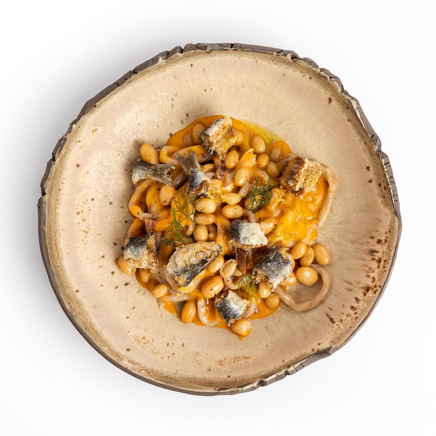 A rustic plate of beans, fish chunks, and herbs in orange sauce, set on a white background, creating a warm and hearty visual appeal.