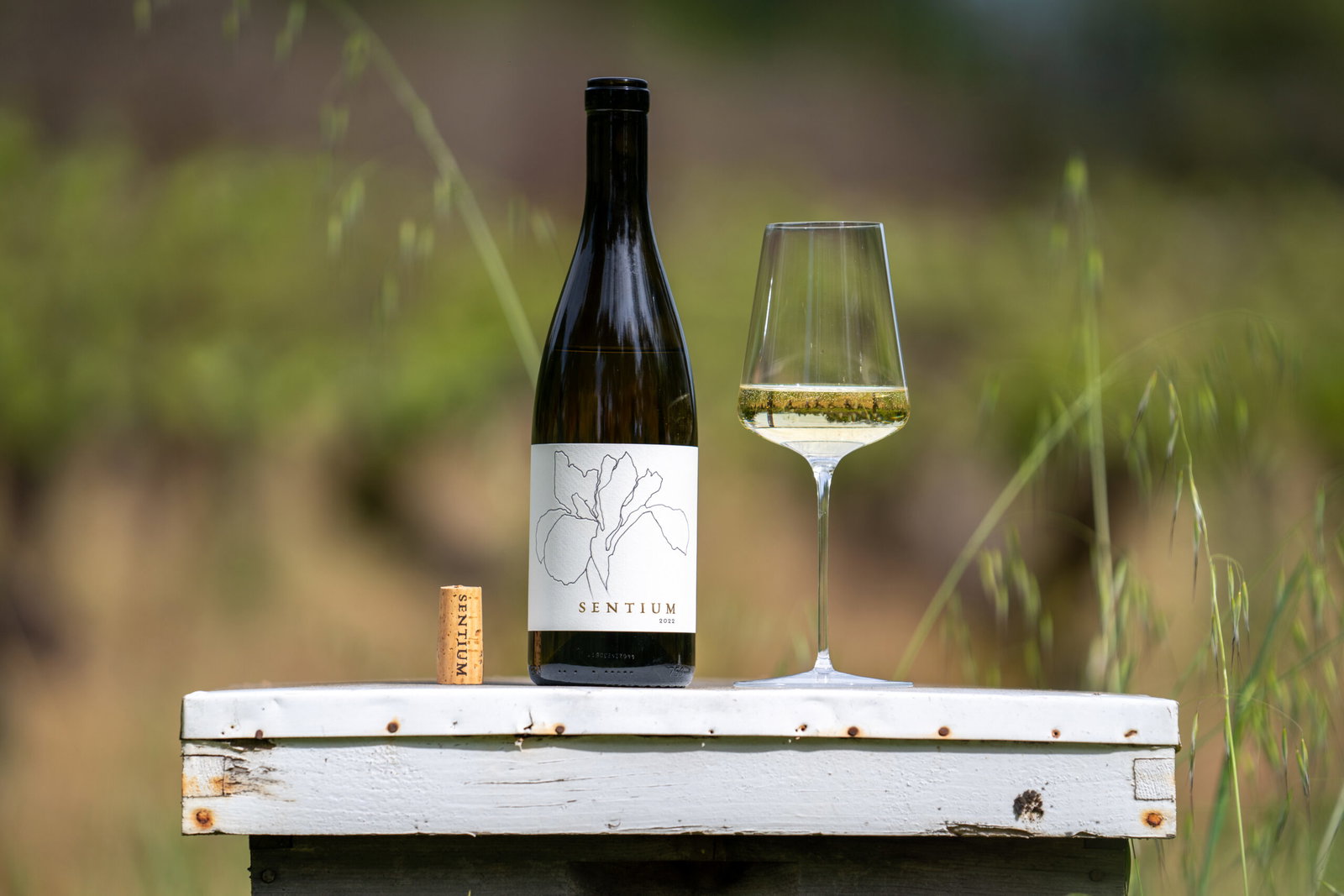 Bottle labeled "Sentium" with a floral design, a wine glass with white wine, and a cork on a white table against a blurred green field.