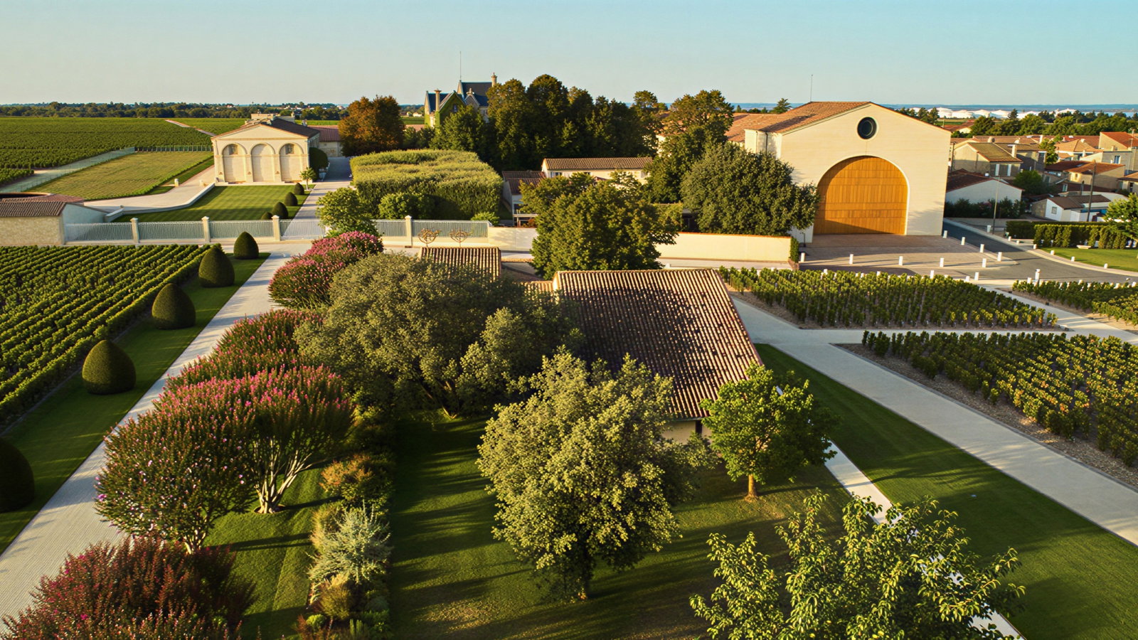 Aerial view of a vineyard estate with neat rows of grapevines, green lawns, trees, and beige buildings under a clear blue sky.