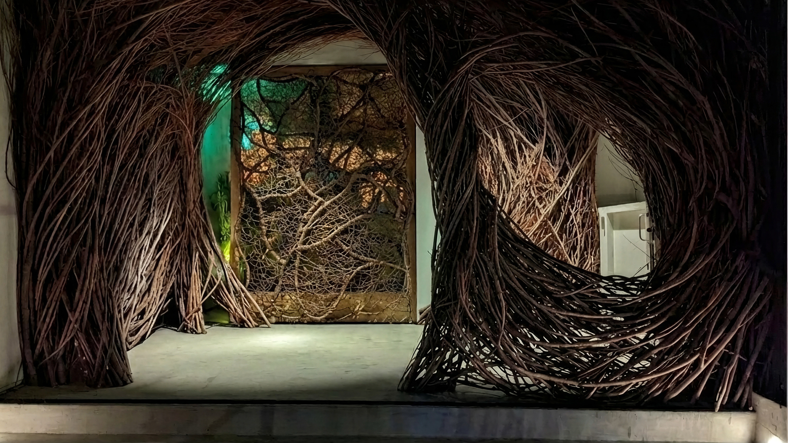 Intricate woven branches form a tunnel, with a web-like design in the background. Soft green and brown hues create a captivating, organic scene.