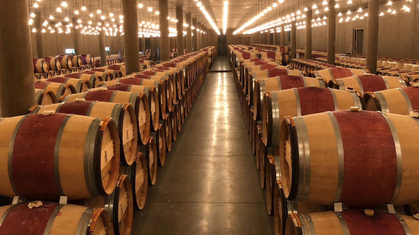 Rows of wooden wine barrels in a dimly lit cellar with hanging lights. The room has a long passageway between the rows, creating a cozy ambiance.