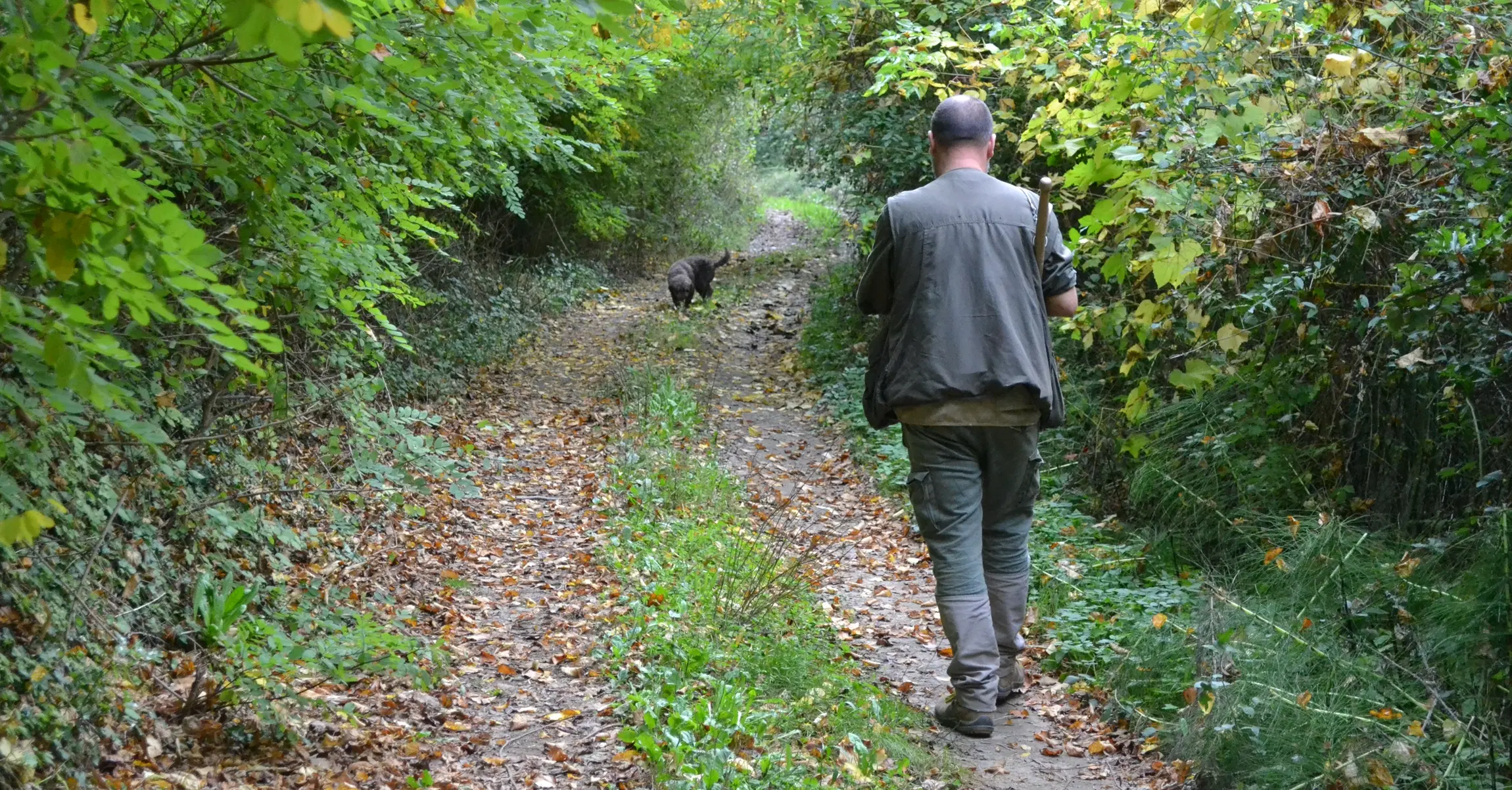 Cover image for guide: Truffle Hunting in Tuscany: A Gourmet Travel Adventure