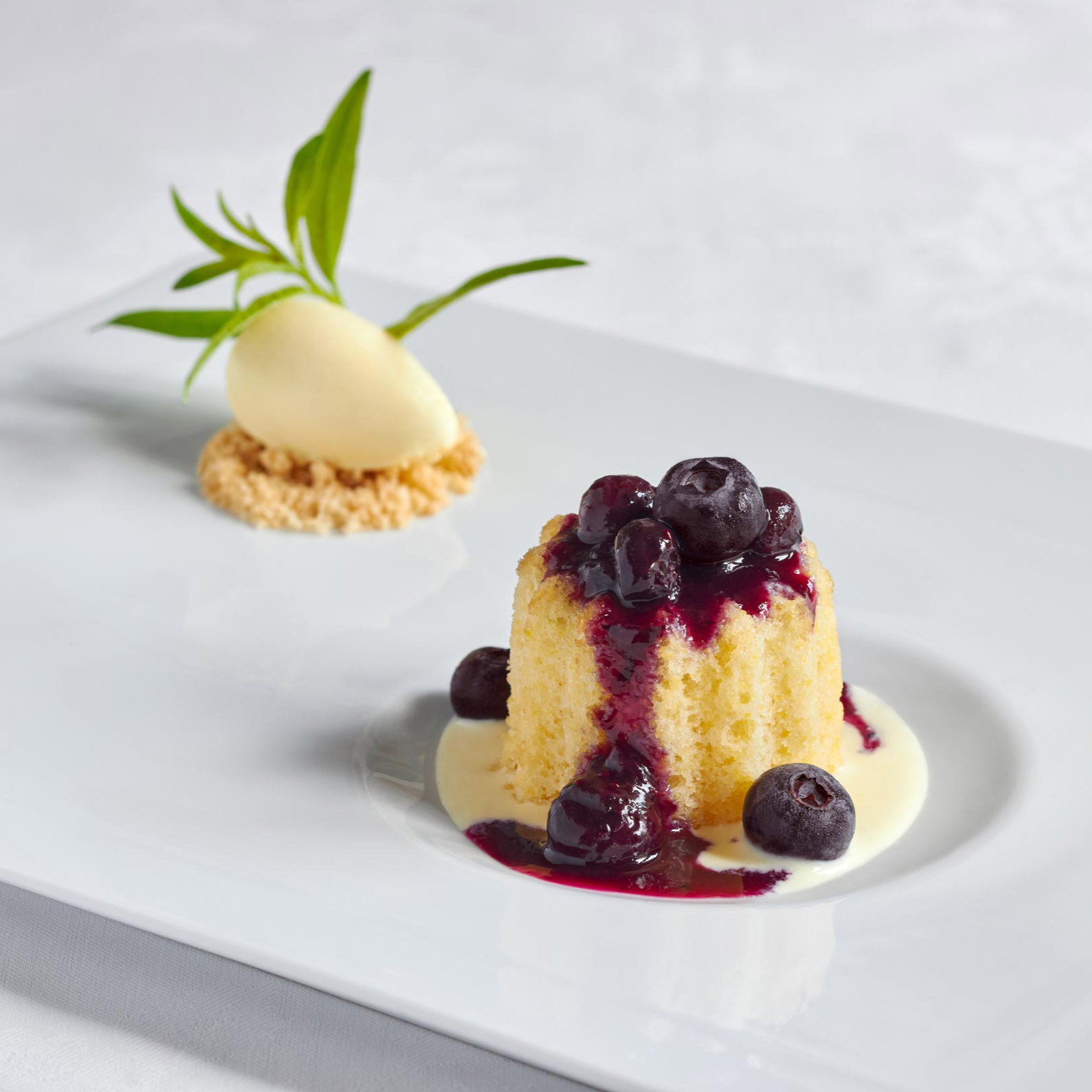 Elegant dessert with sponge cake topped with blueberries and sauce, garnished with a scoop of ice cream and green leaves on a white plate.