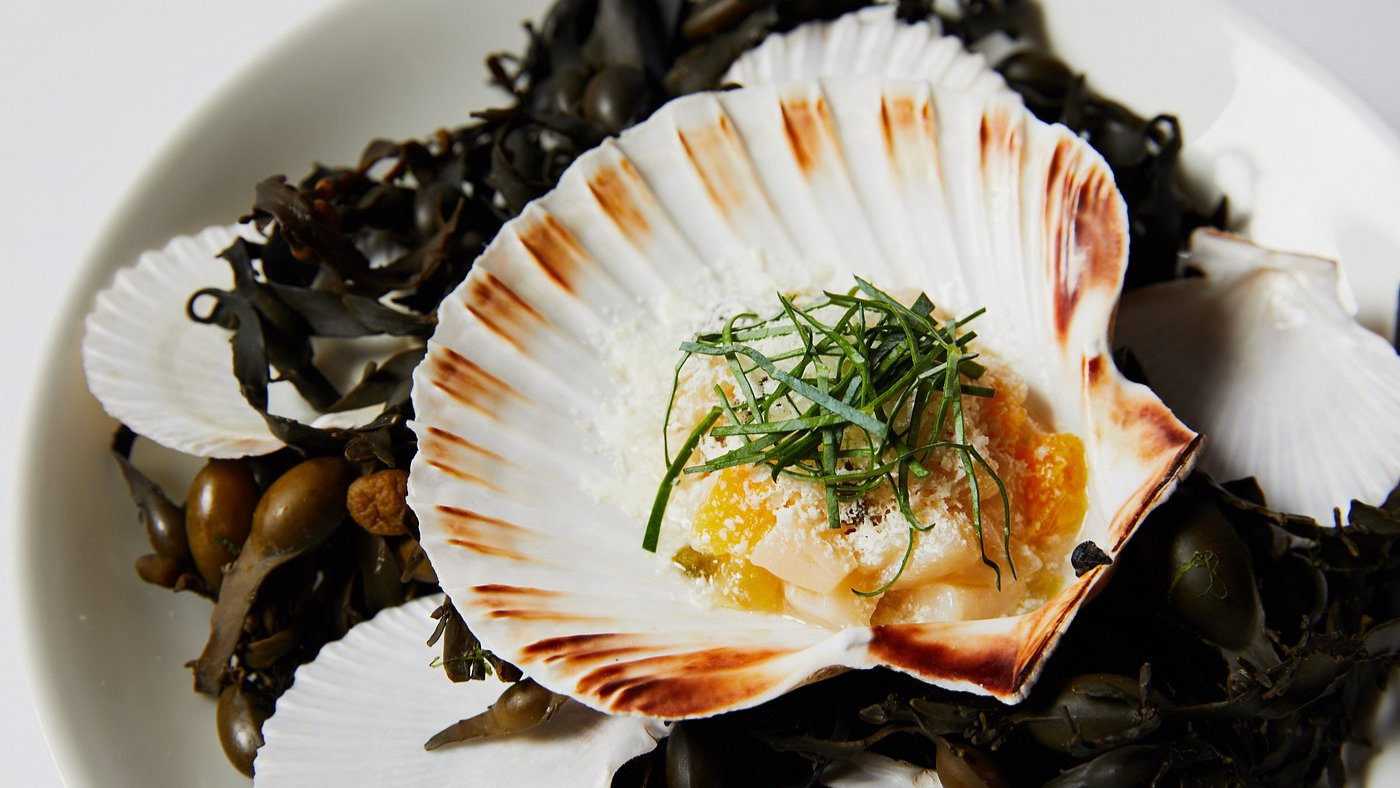 Scallop dish with green garnish in a shell, surrounded by seaweed and other shells on a white plate. Earthy and fresh presentation.