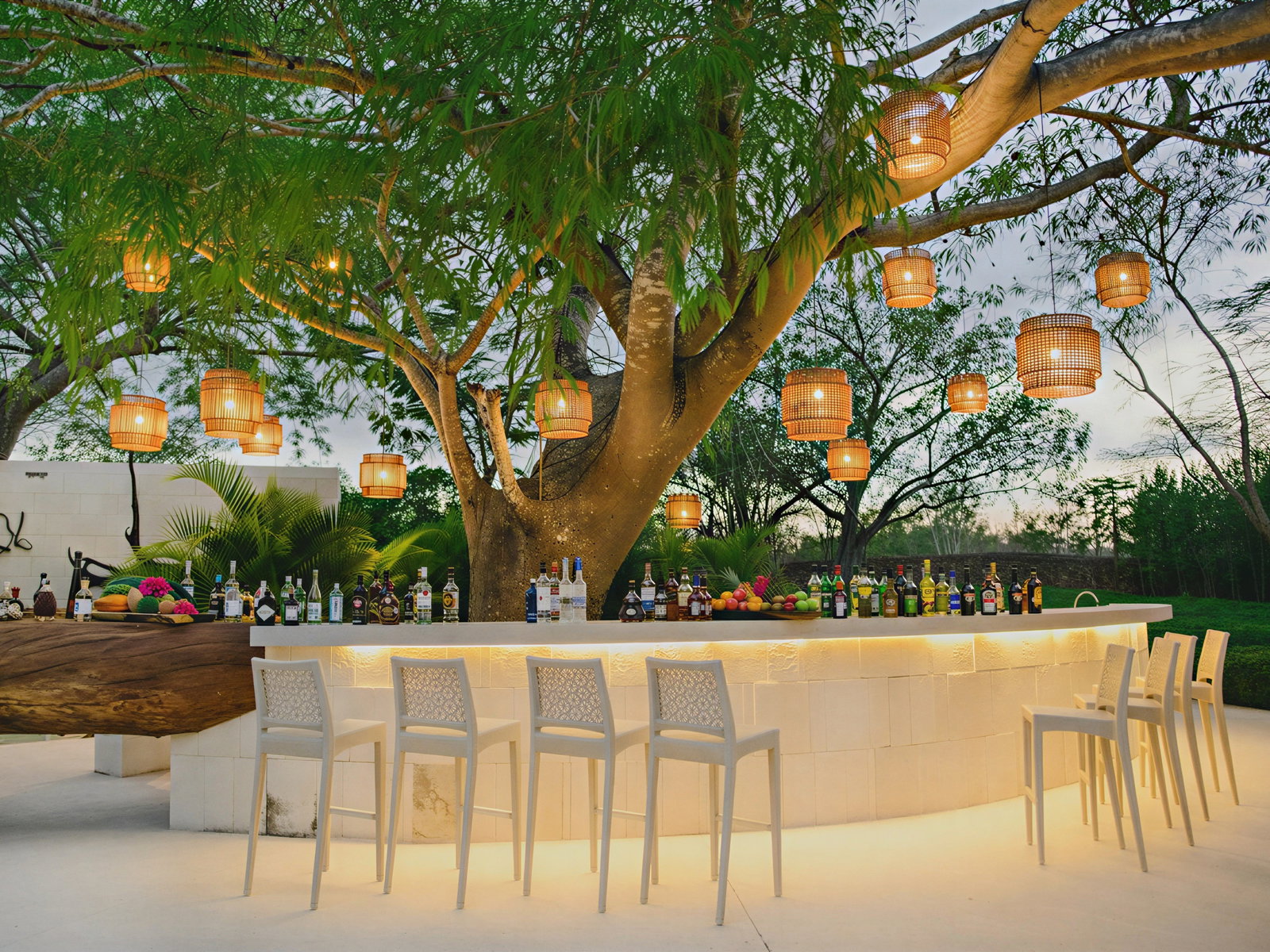Outdoor bar under a tree decorated with hanging lanterns, lined with bottles and fruits. White stools surround the lit counter, creating a cozy ambiance.