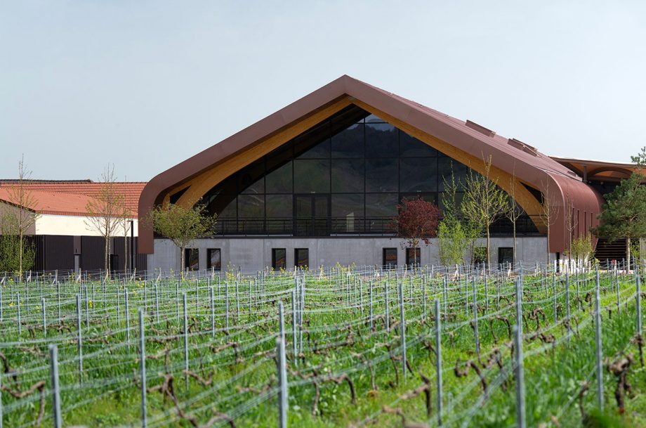 Modern barn with large glass facade amidst lush green vineyard rows. The building has a distinctive curved brown roof and trees nearby.