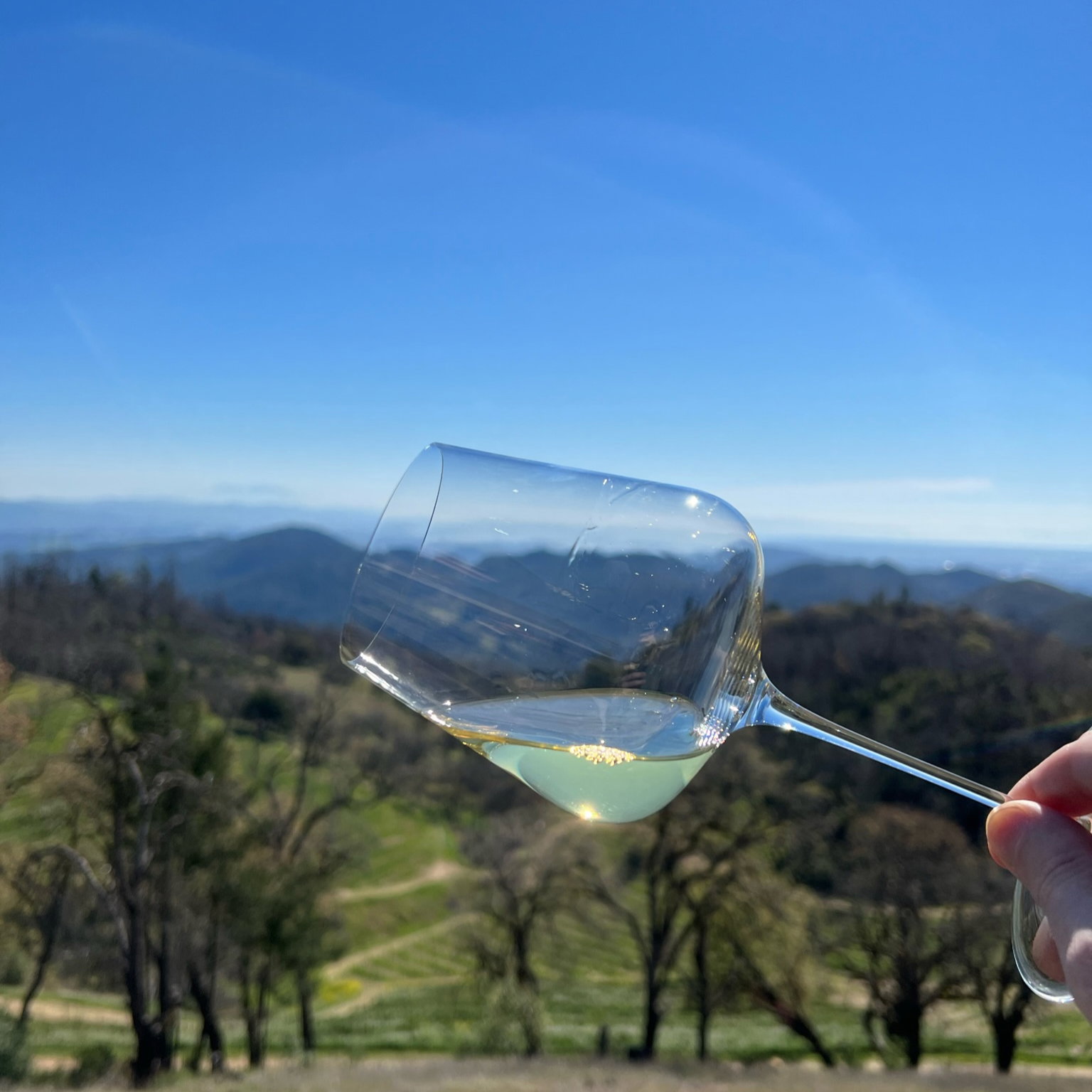 A hand holds a tilted wine glass against a clear blue sky, with a scenic view of rolling hills and trees in the background.
