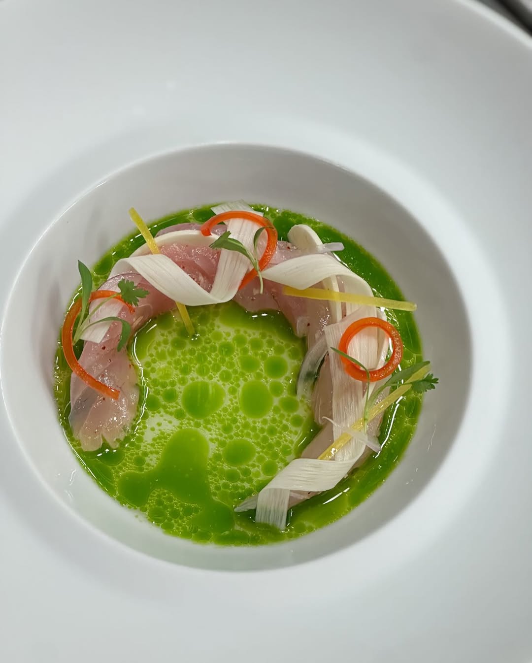 A white dish with sashimi artfully arranged in green sauce, garnished with leeks, chili rings, and herbs, creating a fresh, vibrant look.