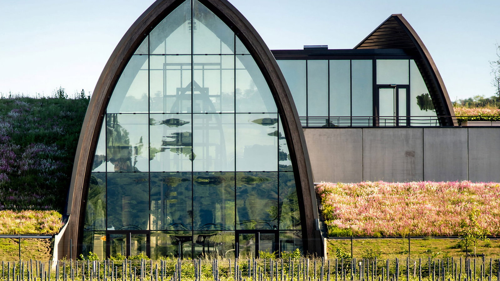 Modern glass Château Angélus winery production facility exterior with arched roof, reflecting sky, surrounded by vineyard rows and grassy hills with pink flowers. Clear blue sky.