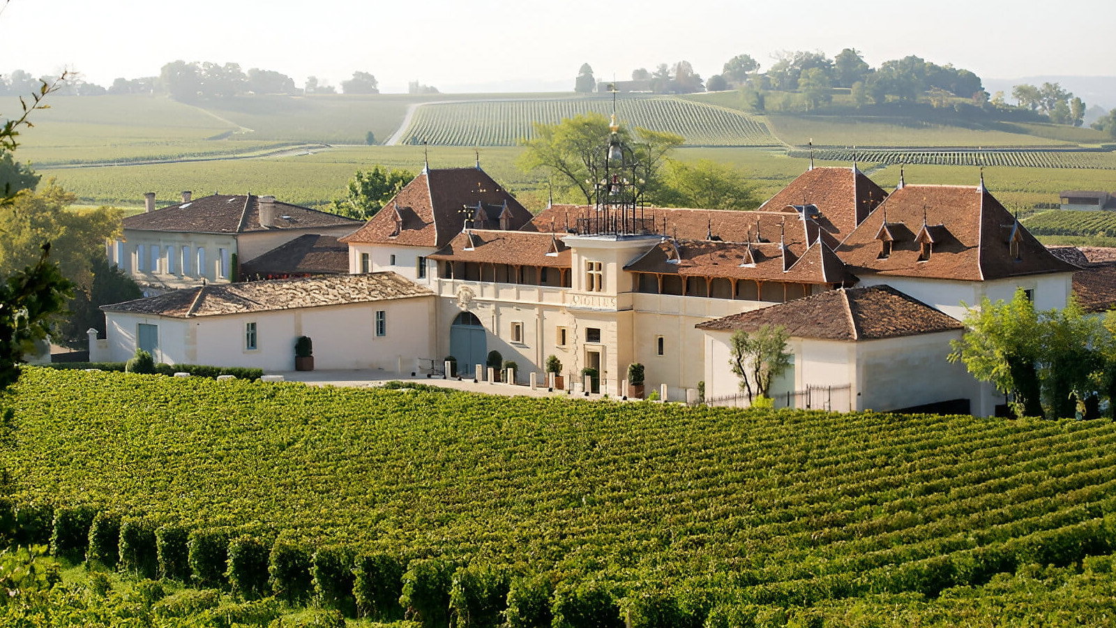 Vineyard of Château Angélus landscape estate featuring red roofs, surrounded by lush green vines. Sunny day creates a serene and picturesque scene.