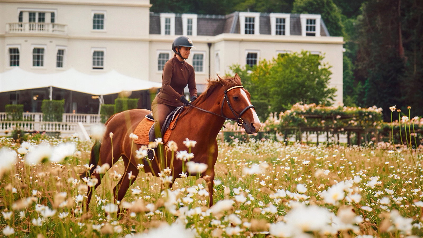 Person in equestrian attire riding a brown horse through a daisy-filled field, with a large white house in the background. Calm, scenic mood.