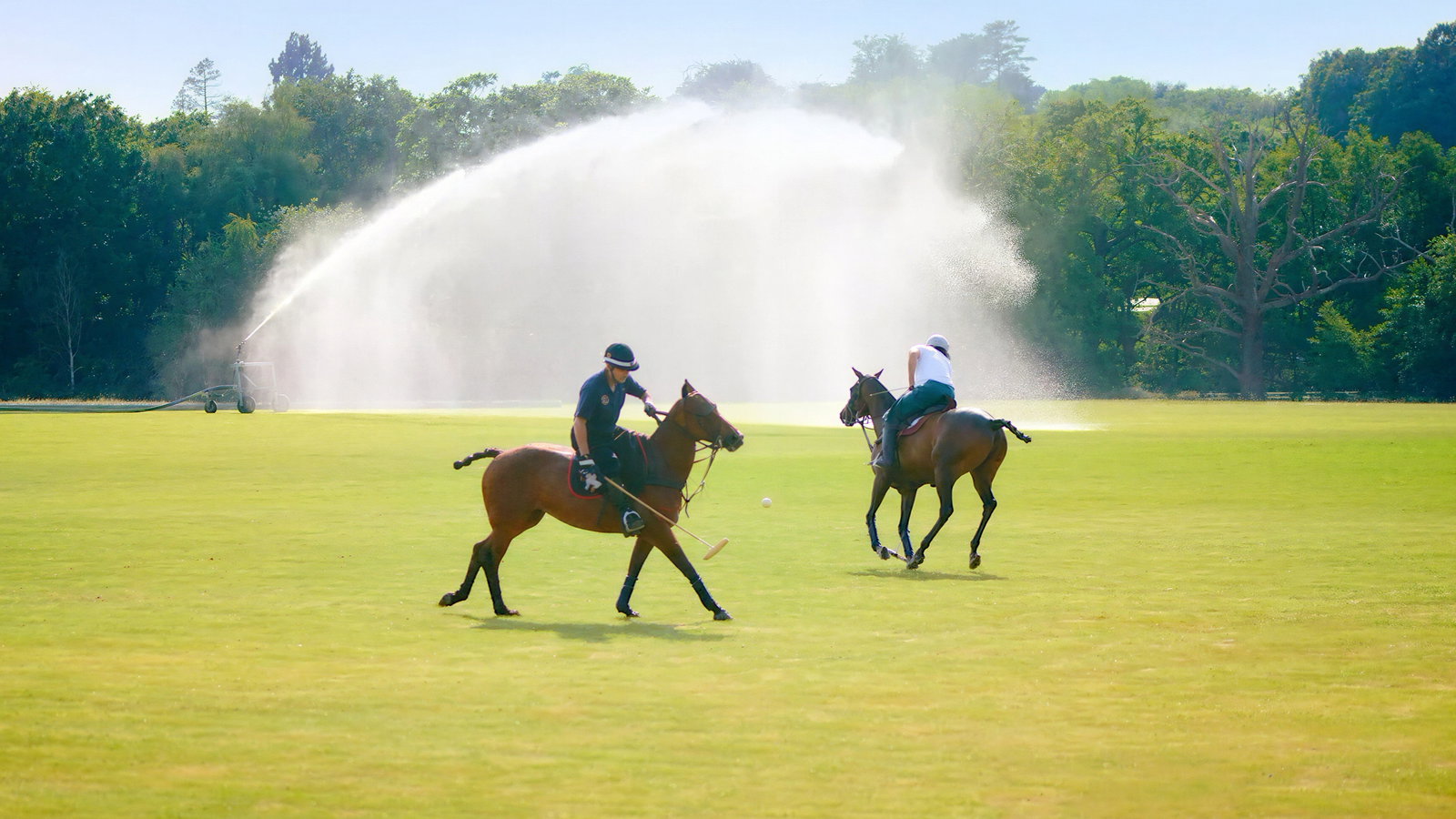 Two polo players on horses chase a ball on a lush green field, with a sprinkler spraying water in the sunny background.