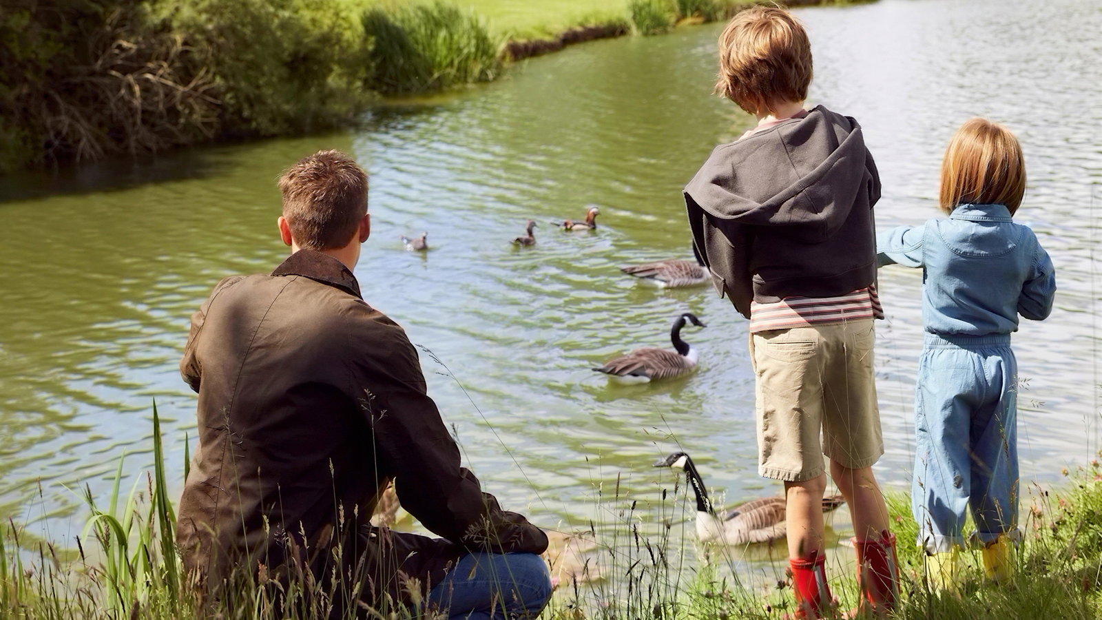 A person and two children feed geese by a pond in a green park. The children are in colorful boots, creating a peaceful and joyful scene.