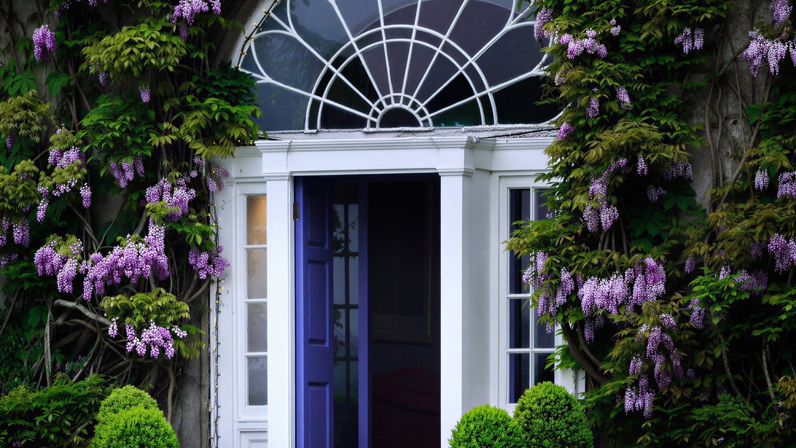 Purple-flowered vines climb around a white archway and blue door. Two potted shrubs sit in front, creating a serene garden entrance.
