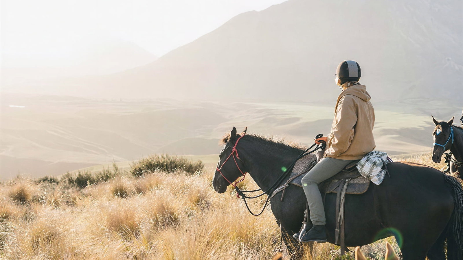 Horseback riding at Flockhill Lodge on a grassy hillside, with other horses visible. Mountain and soft sunlight in the background, evoking a serene mood.