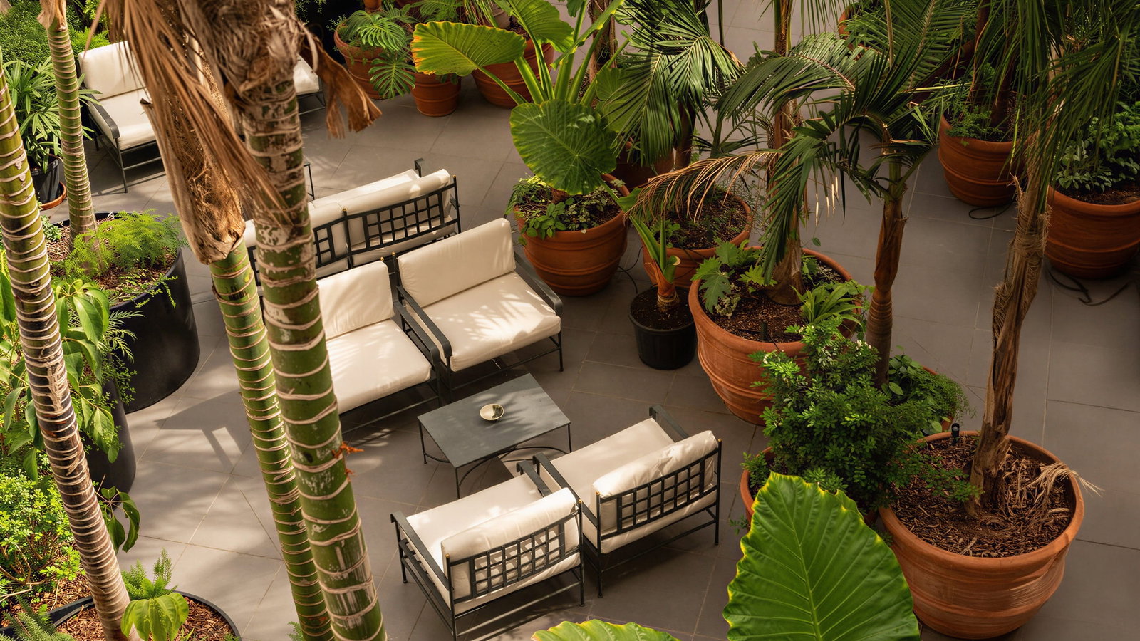 Outdoor patio courtyard of Palazzo Talìa with white cushioned chairs around a table, surrounded by potted palm trees and lush greenery. Calm and inviting setting.