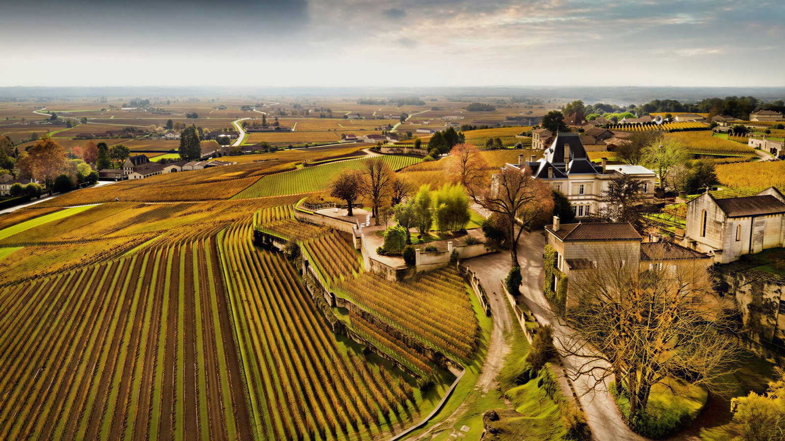 Aerial view of a Château Ausone vineyard with neat rows, their estate, and farmhouses. Golden fields under a moody sky create a serene, autumnal mood.