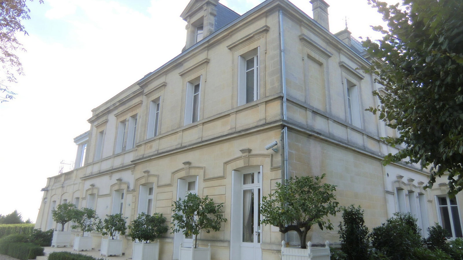 Elegant stone building from Château Ausone estate with white trims, potted trees, trimmed hedges, and clear blue sky. Peaceful and formal atmosphere.