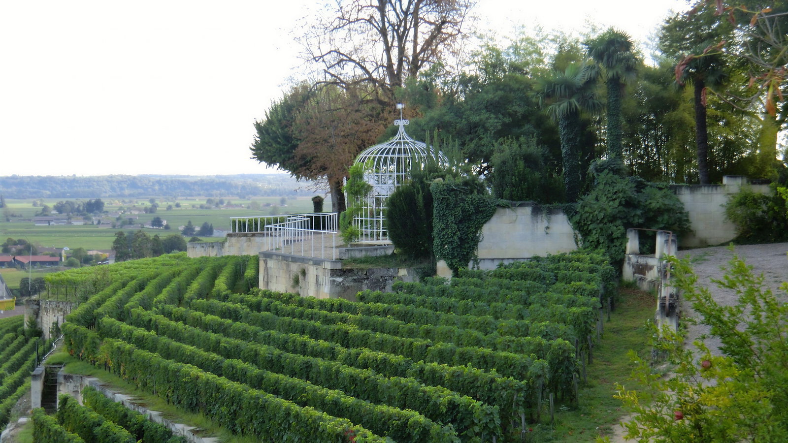 lush vineyard at Château Ausone with green rows on sloped terrain, a white gazebo among trees, and distant scenic views of fields and a cloudy sky.