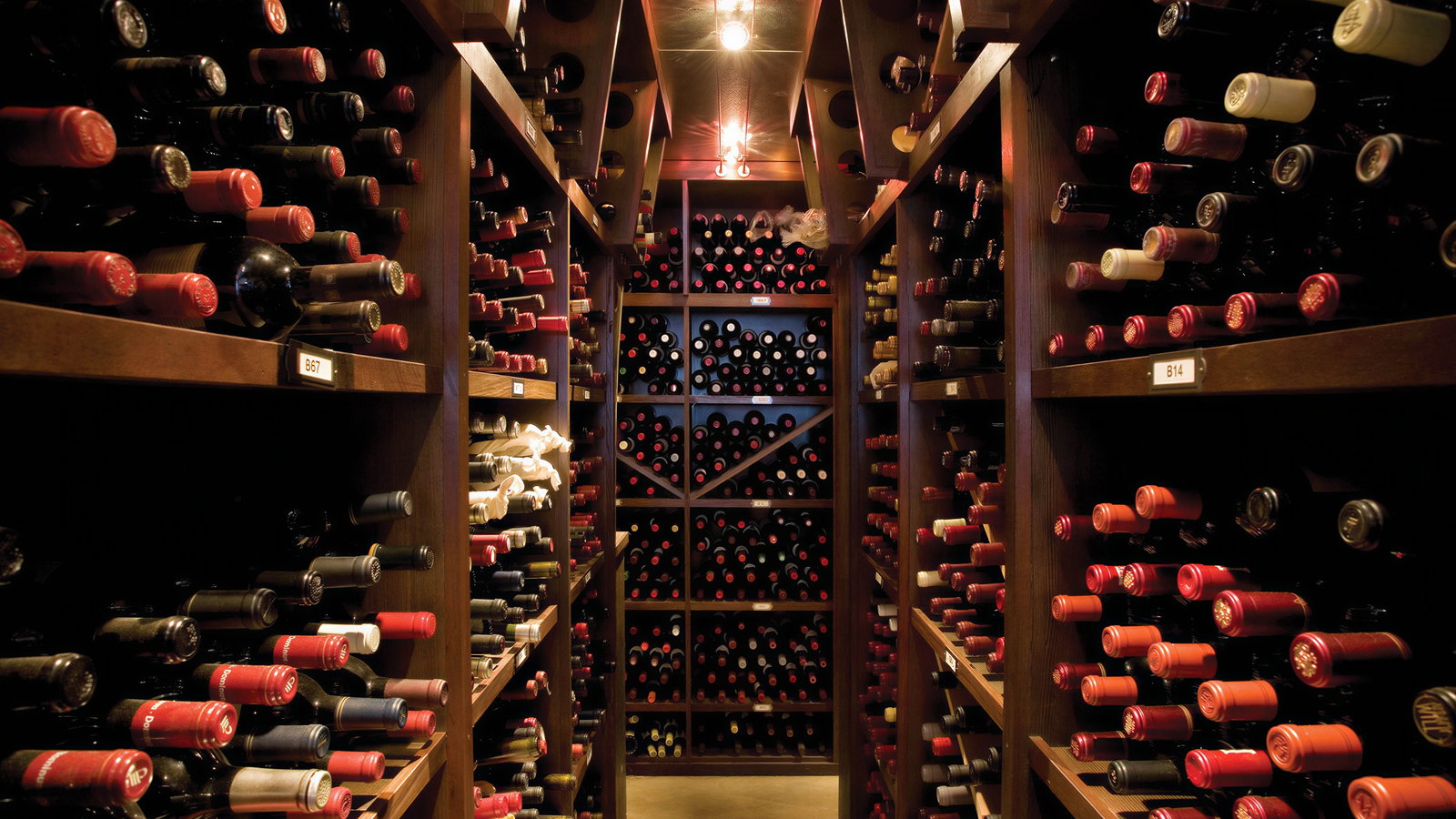 Dimly lit wine cellar with wooden shelves stacked with wine bottles. Labels visible include B67 and B14. Warm, inviting atmosphere.