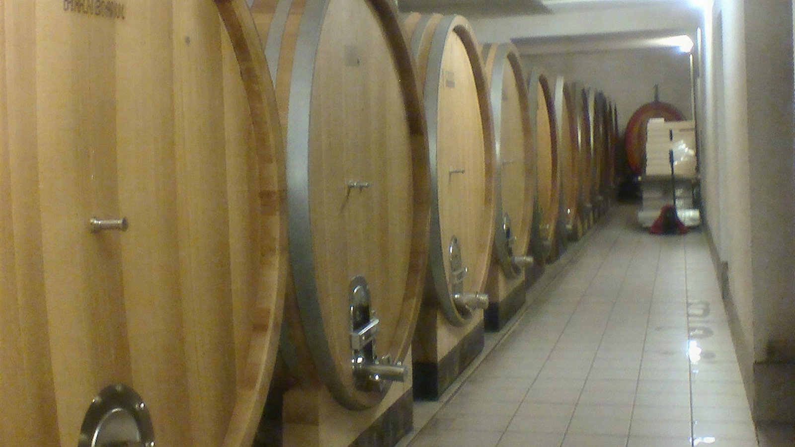 Large wooden barrels in the vat room at Valdicava line a brightly lit winery cellar with tiled floors. Text "M14152 BRANCA" is visible on one barrel.