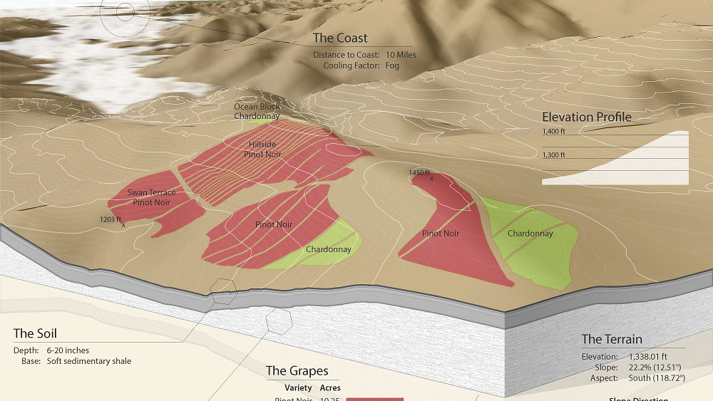 3D map of Alpine Vineyard showing Pinot Noir and Chardonnay blocks, elevation, soil depth, geology, and distance to coast with labeled sections.