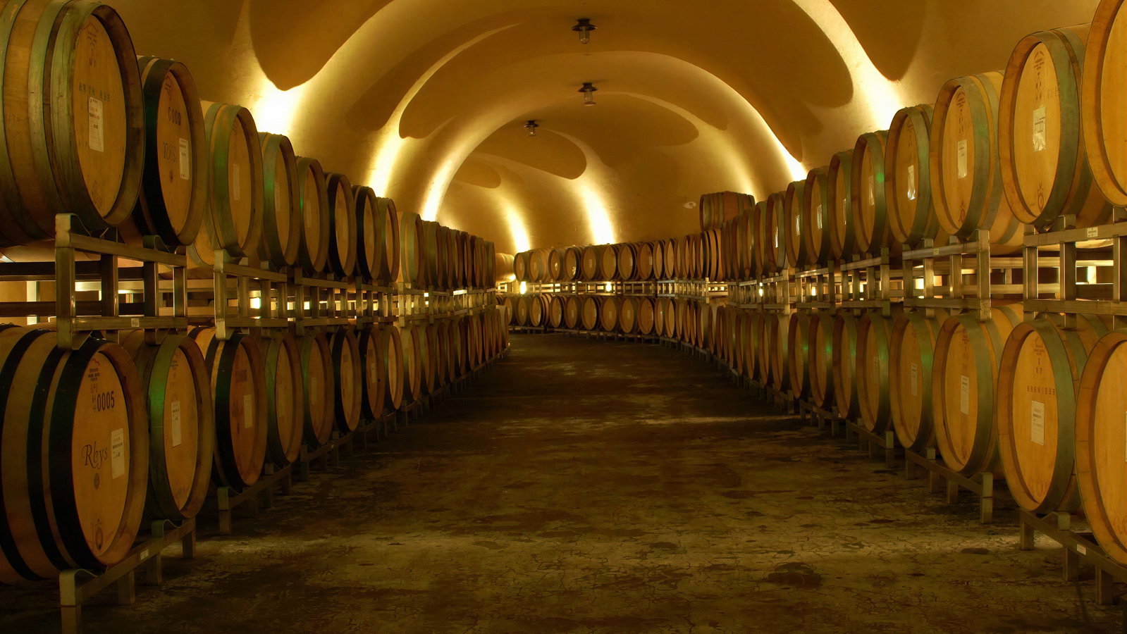 Dimly lit wine cellar with rows of wooden barrels stacked on metal racks. Arched ceiling and earthy tones create a calm, rustic atmosphere.