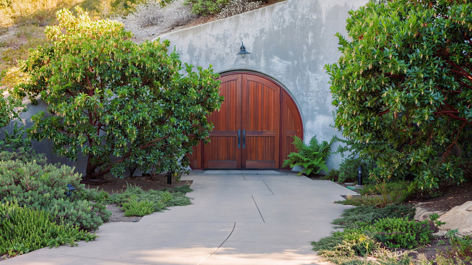 Wooden arched door set in a gray stone wall, surrounded by lush green plants and shrubs, under a clear blue sky. Peaceful ambiance.