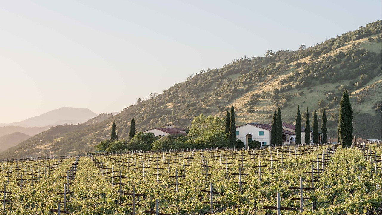 Vineyard landscape with rows of grapevines in foreground, elegant house with red roof and cypress trees in background, set against rolling hills.