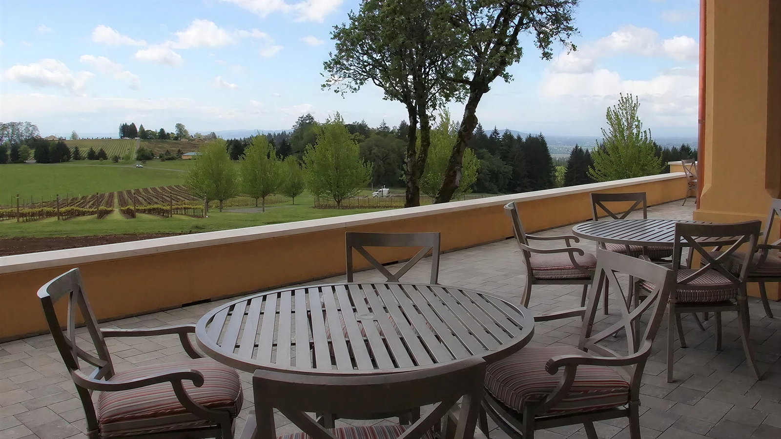Patio with circular tables and chairs overlooks a vineyard. Green fields and trees under a blue sky with clouds create a peaceful setting.