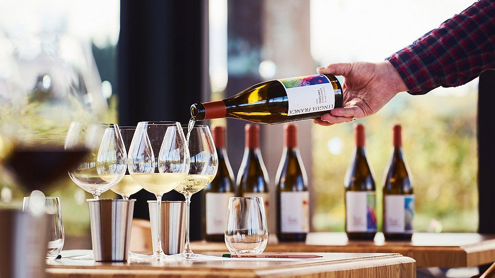 A person in a plaid shirt pours white wine into glasses on a wooden table. Bottles line the background; natural light creates a relaxed mood.