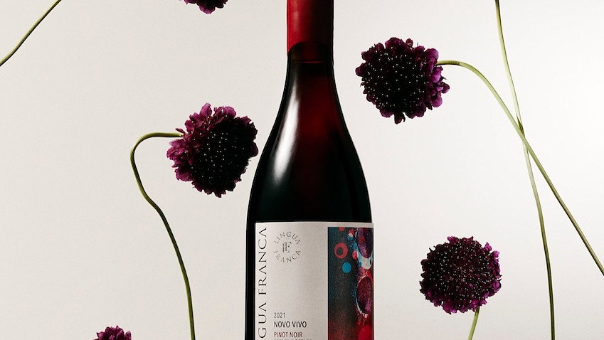 A wine bottle labeled Lingua Franca with red cap is surrounded by dark purple flowers on thin stems against a light background.