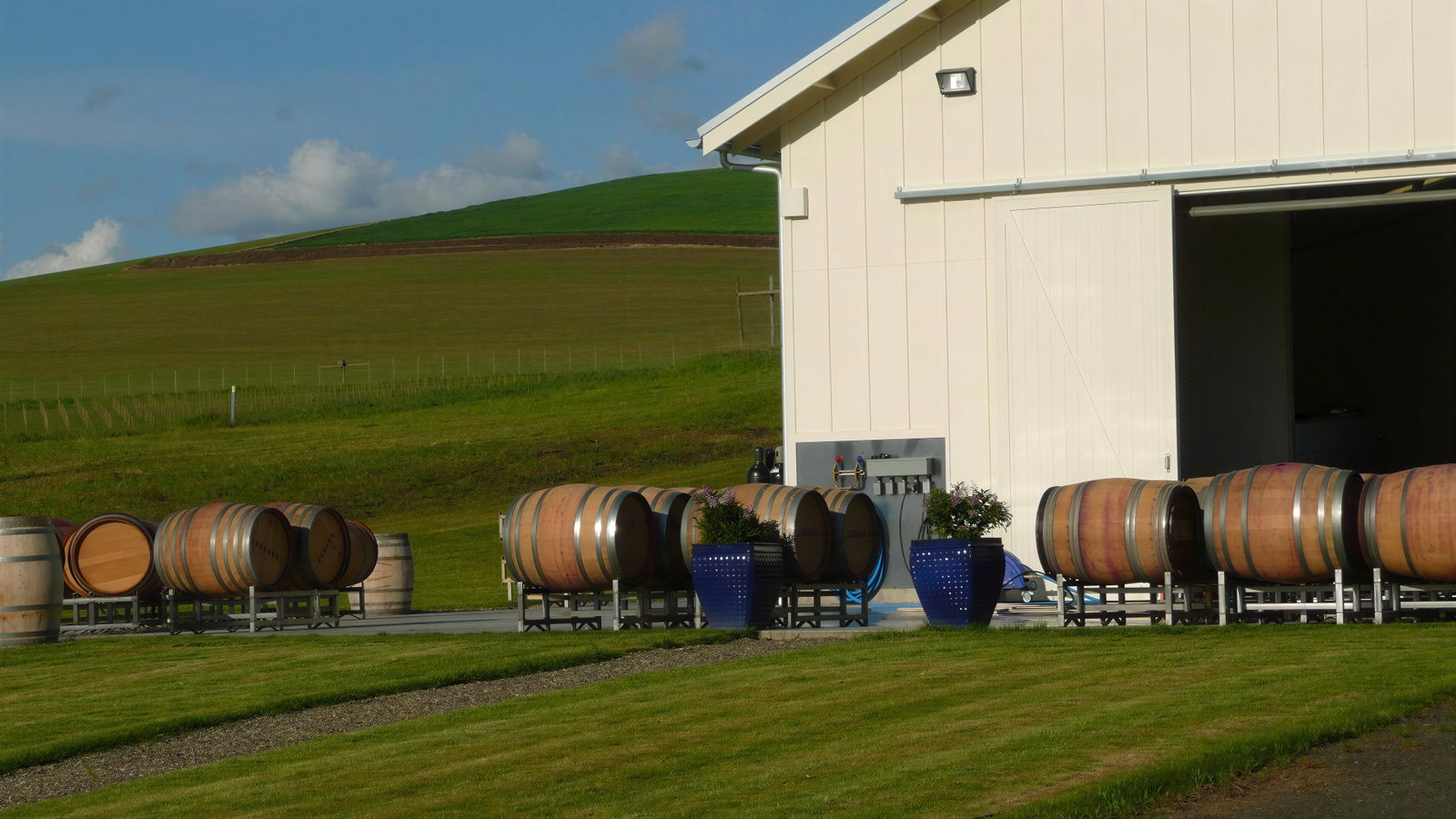 Wine barrels sit outside a cream-colored winery in a green field, under a blue sky. Blue pots with plants add contrast.
