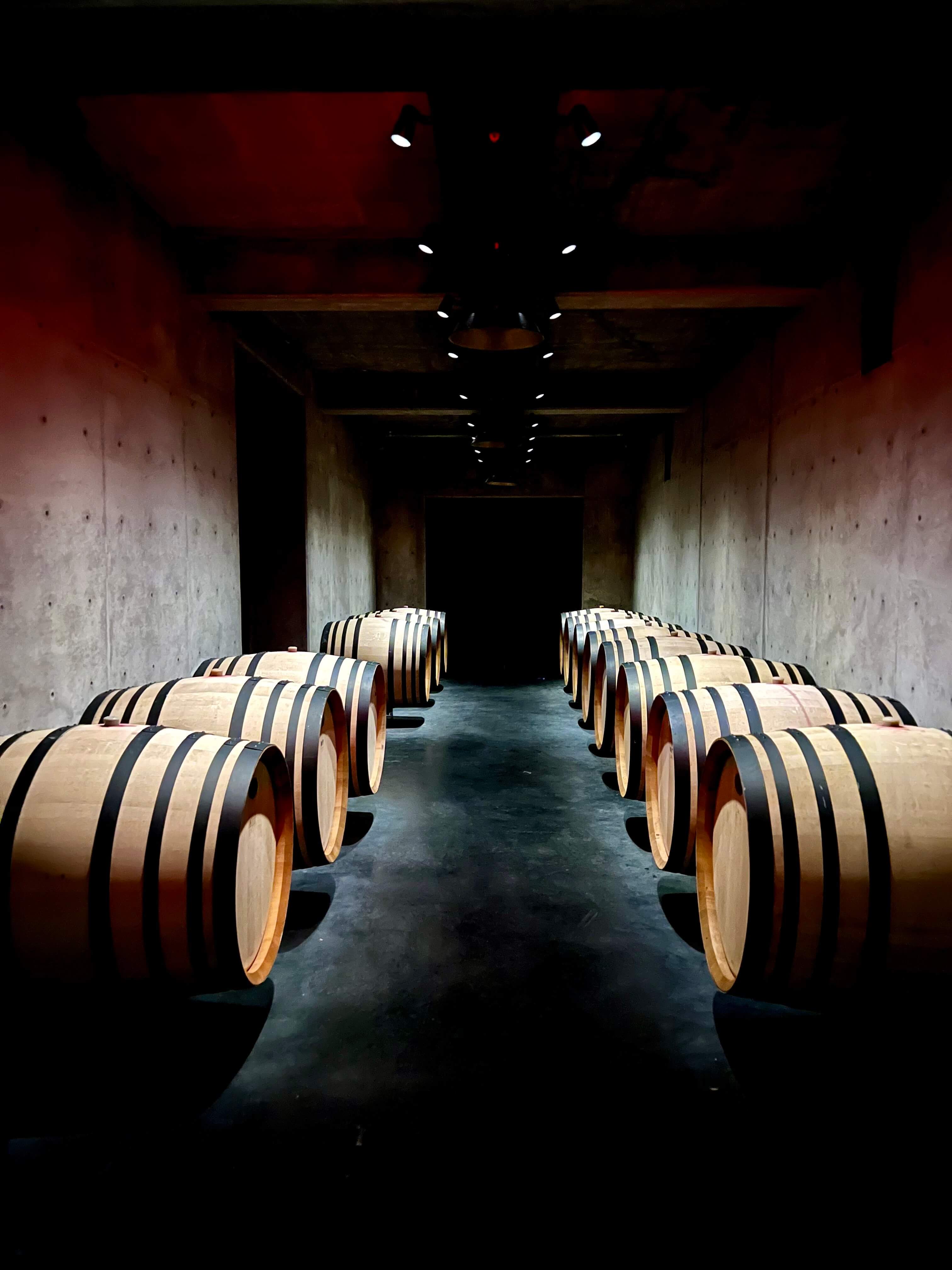 An underground winery cellar with barrels of wine lined up