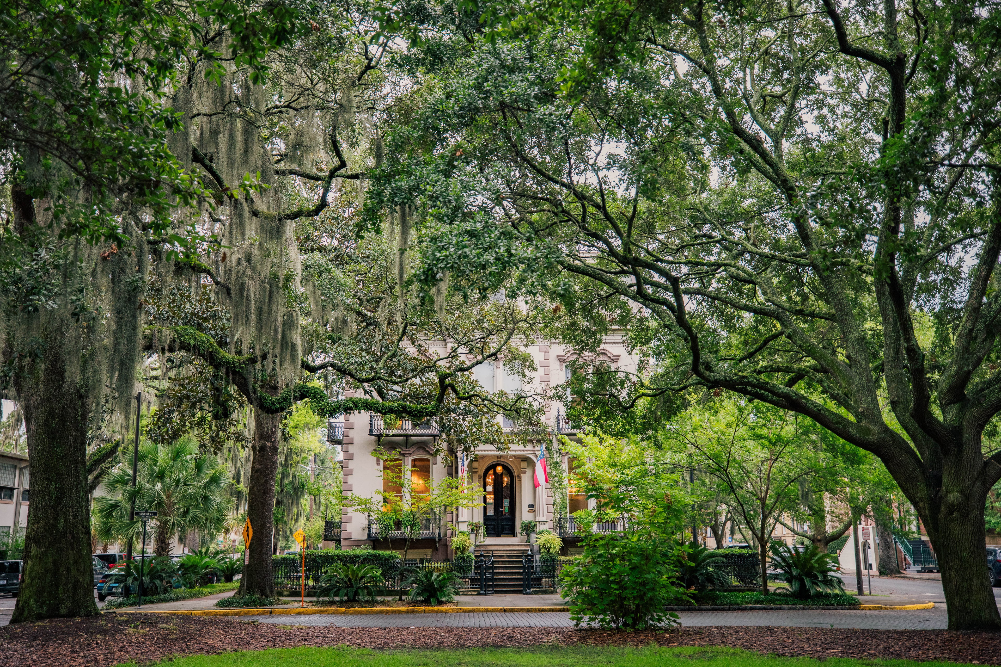 Savannah travel destination