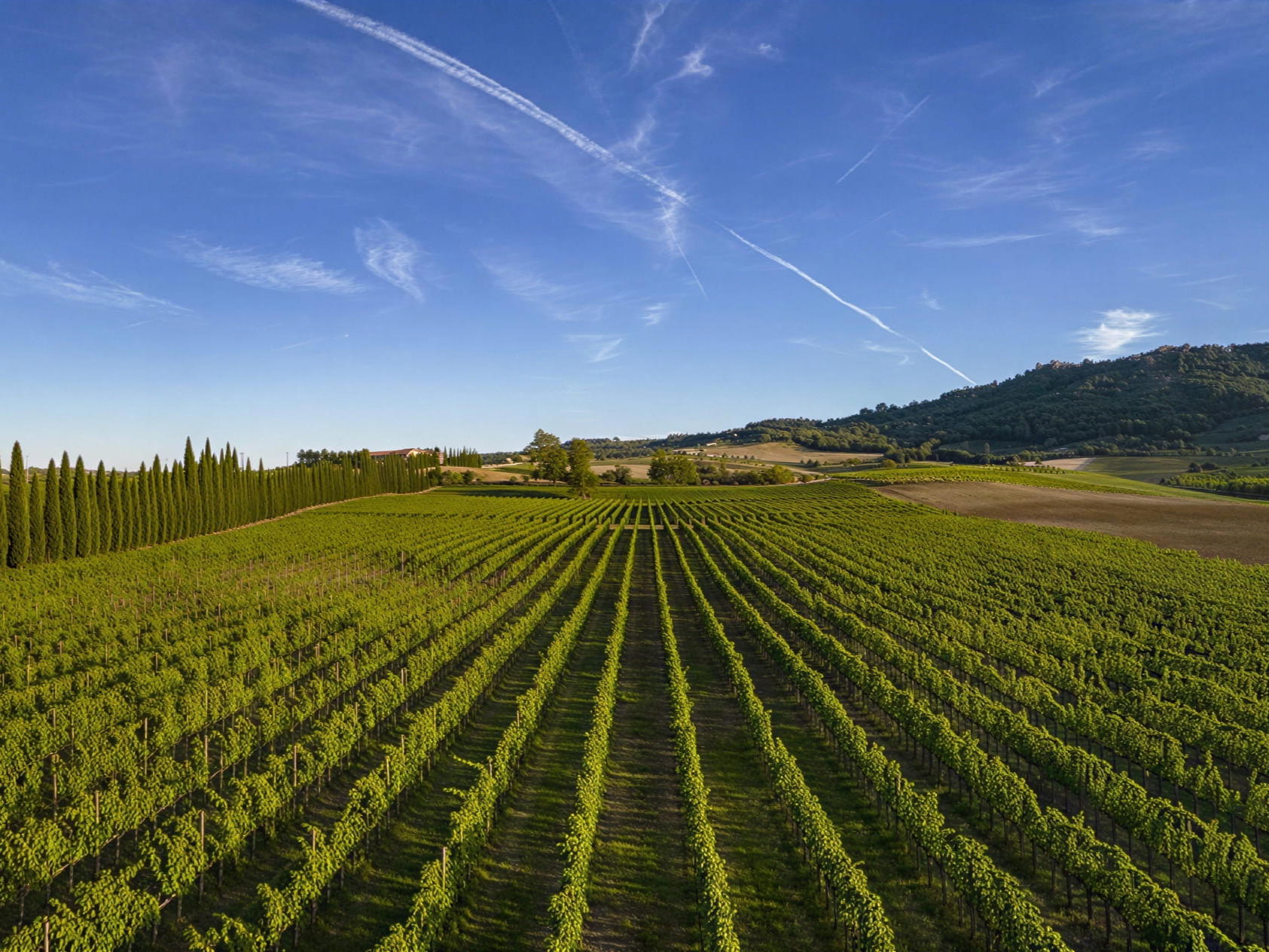 A Valdicava Winery Visit in Montalcino
