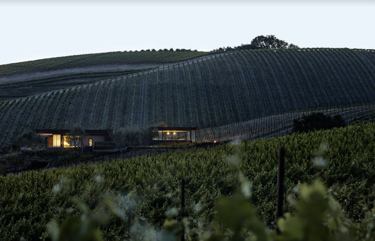Booker Vineyard, Paso Robles: Tasting Guide (2026)