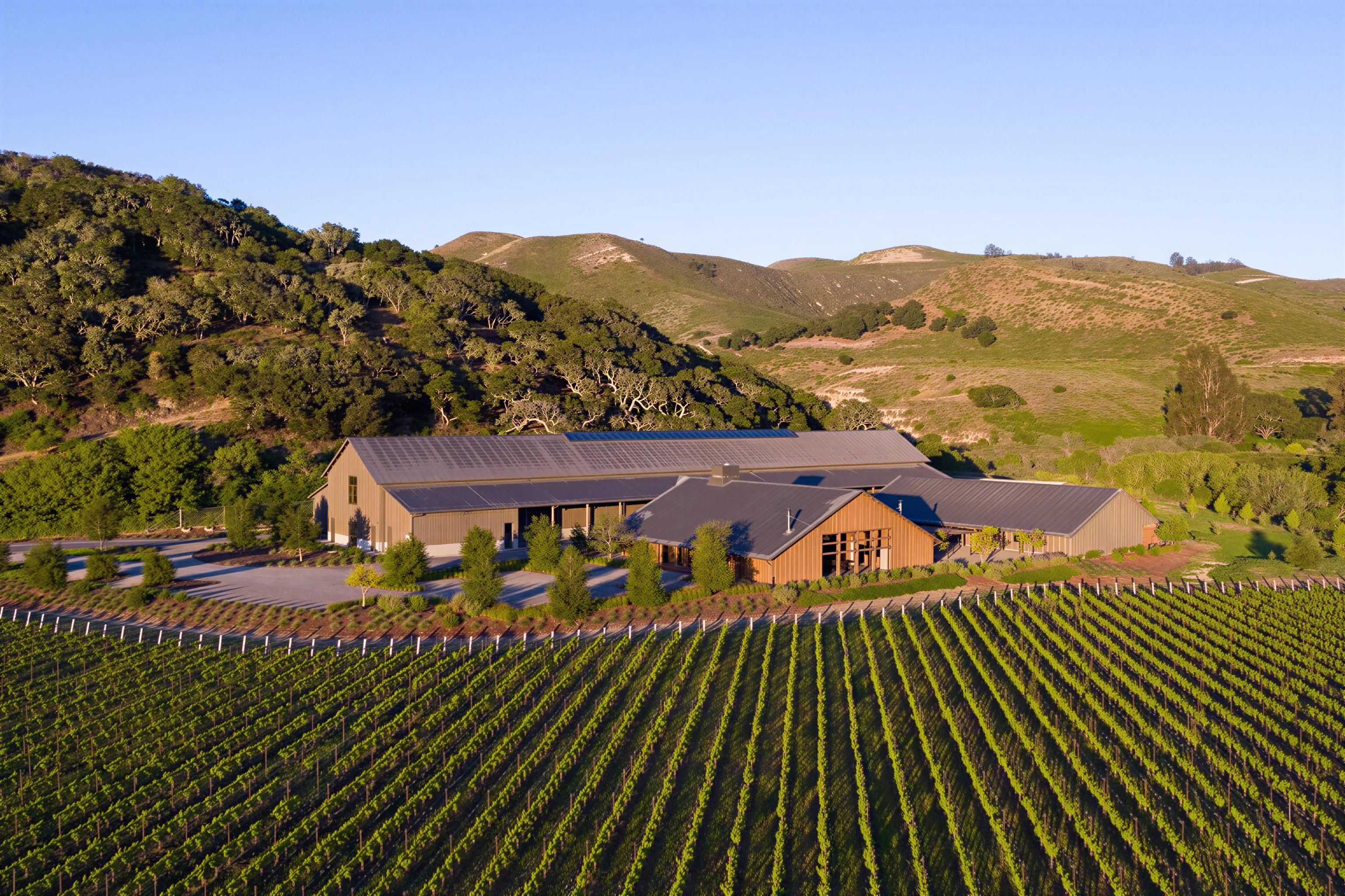 The Hilt and Jonata Tasting: Santa Barbara's Twin Icons