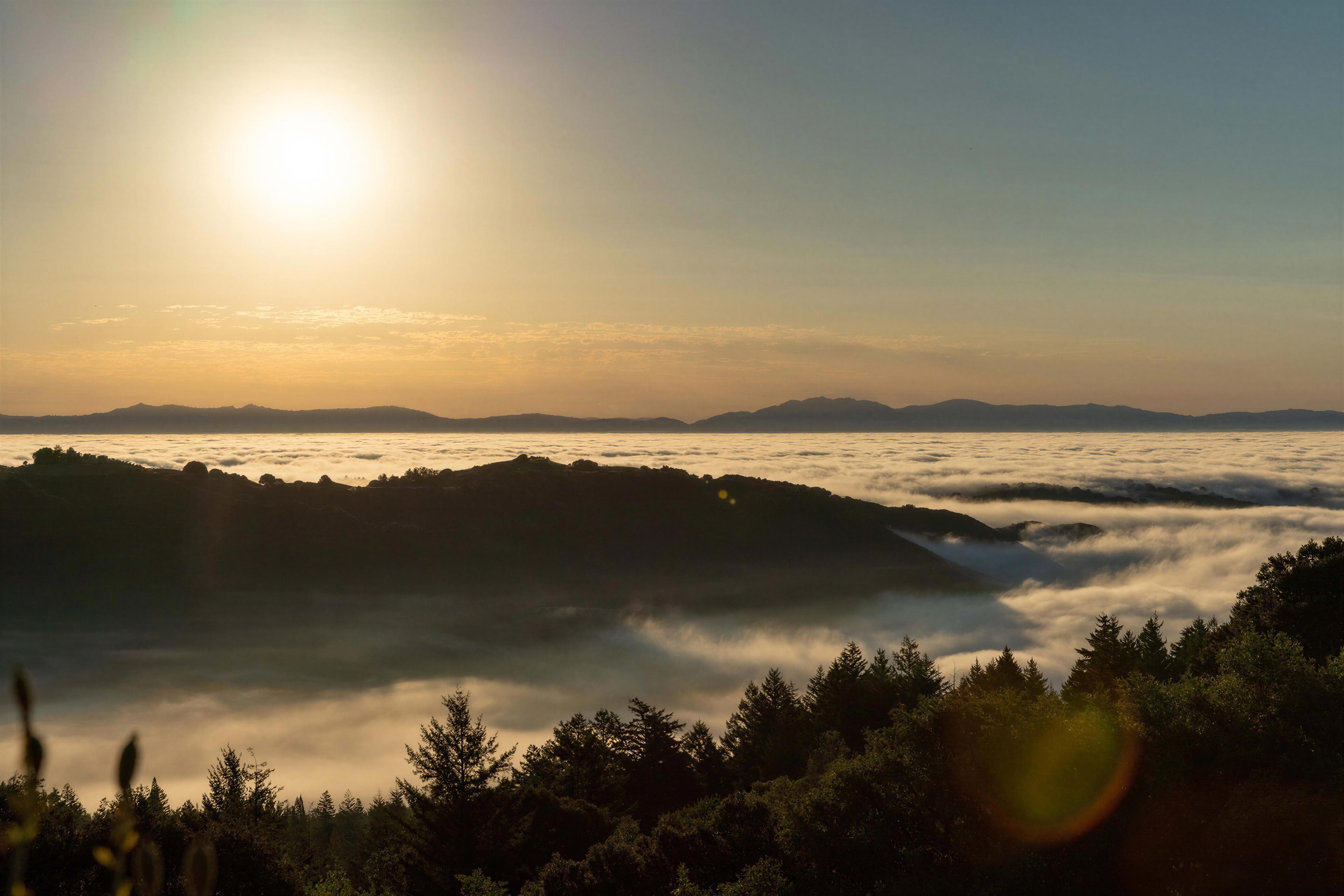 Rhys Vineyards Visit Guide: Santa Cruz Mountains