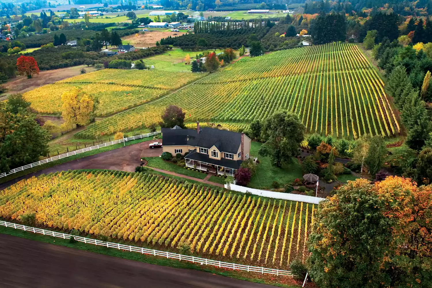 Bergström Winery: Willamette Valley Tasting Guide