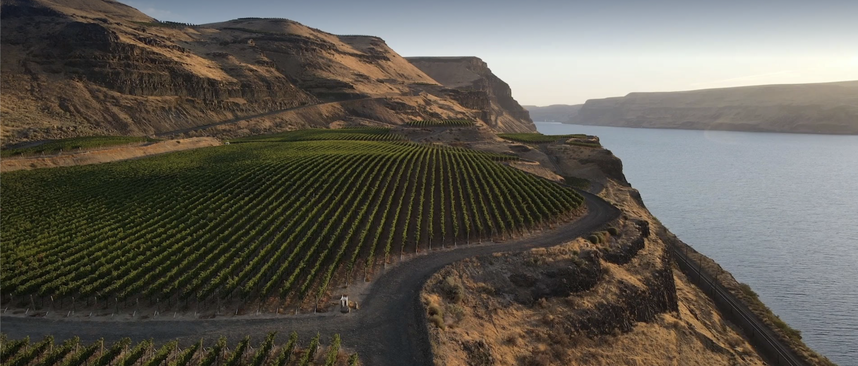 Cover image for guide: These are the Best Wineries to Visit in Washington State
