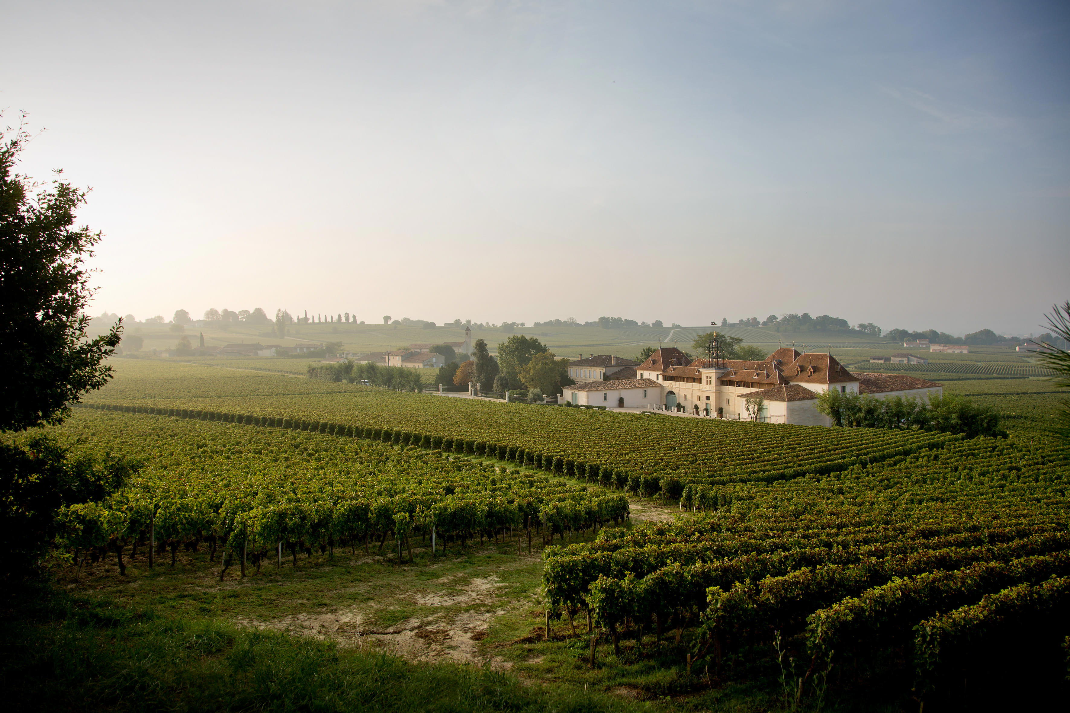 The Most Theatrical Tour in Bordeaux: A Château Angélus Tasting Visit Review (2026)
