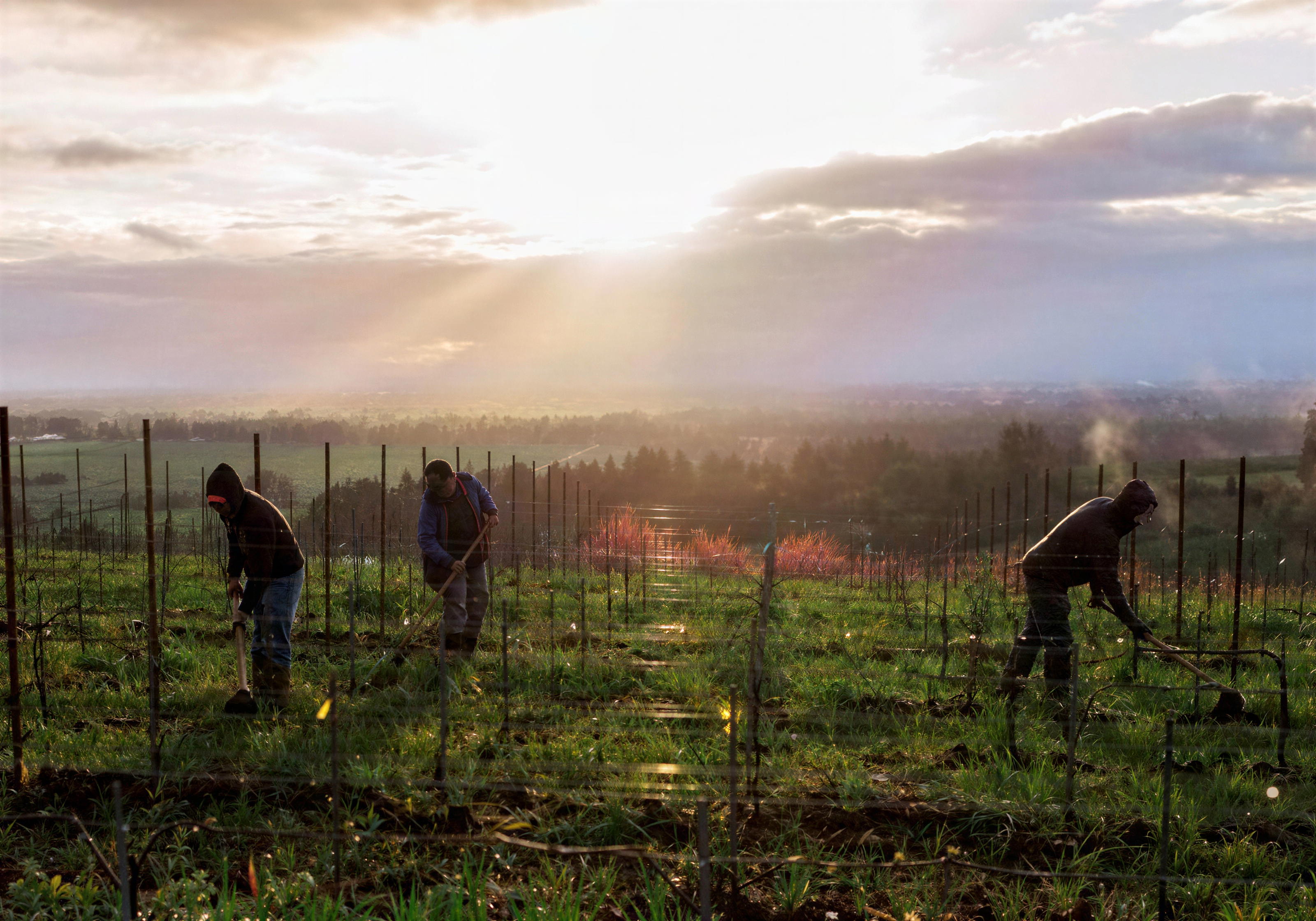 00 Wines Private Tastings in Willamette Valley